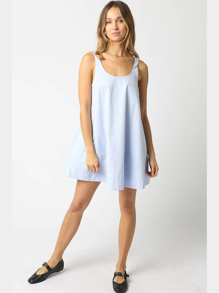 Ariel Sleeveless Swing Mini Dress
