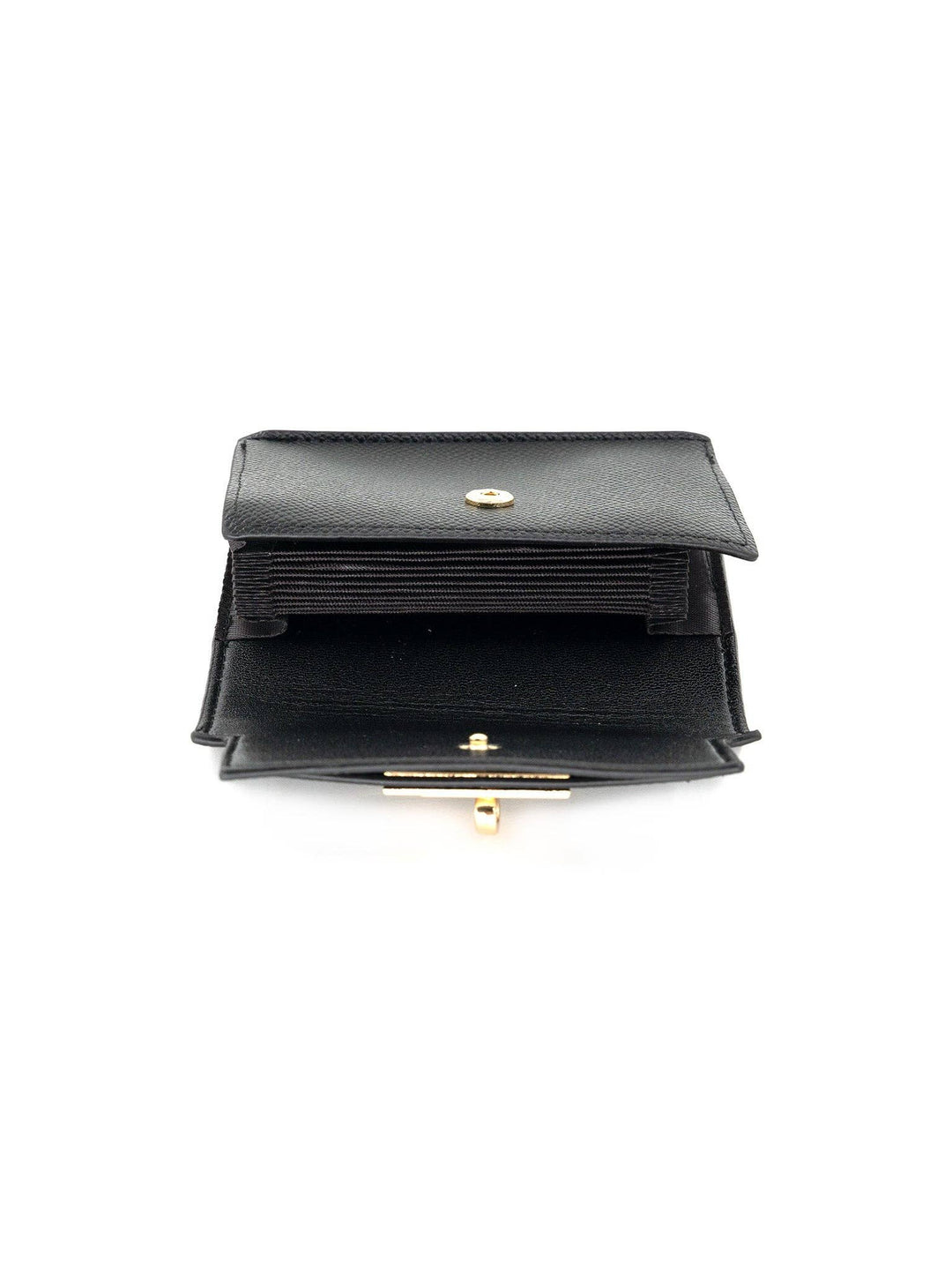 Shelly Wallet