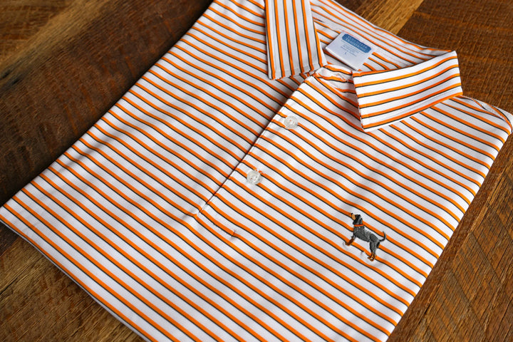 Bluetick Premier Stripe Polo