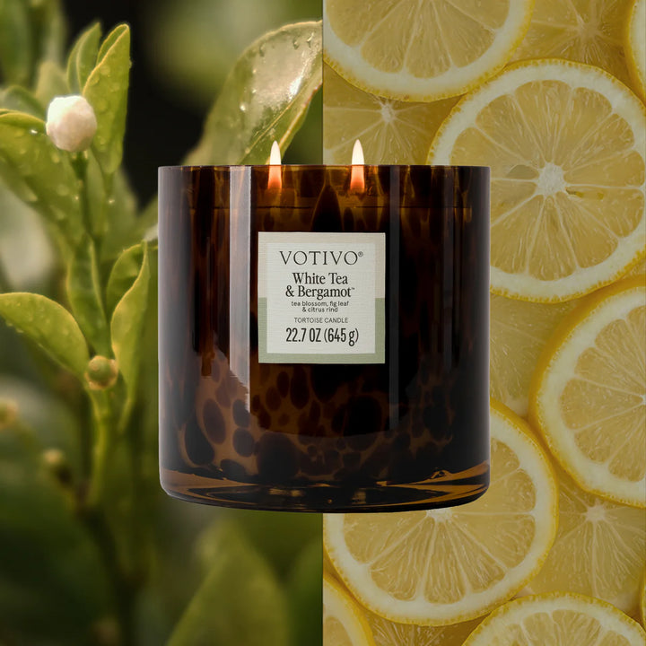 Tortoise Candle - White Tea & Bergamot
