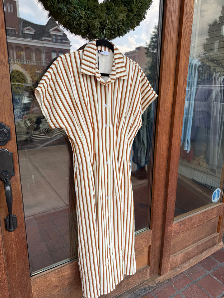 THML Brown Stripe Button Up Maxi Dress