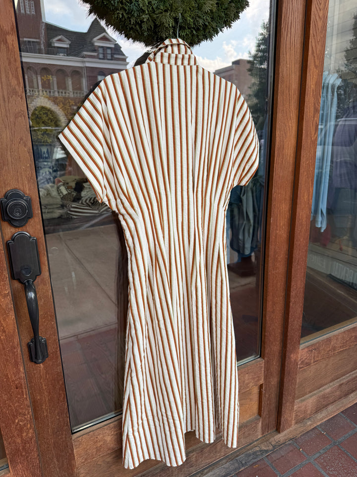 THML Brown Stripe Button Up Maxi Dress