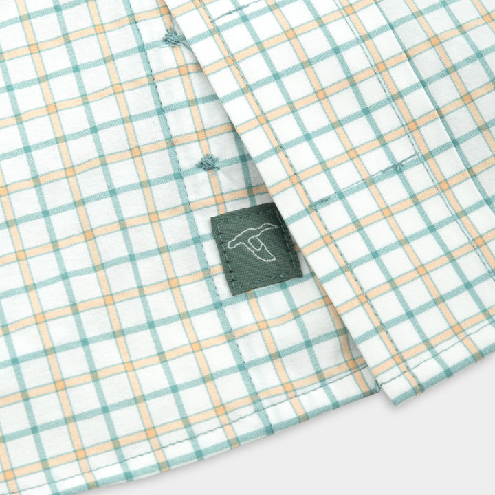 Genteal Ellis Softouch Button Down