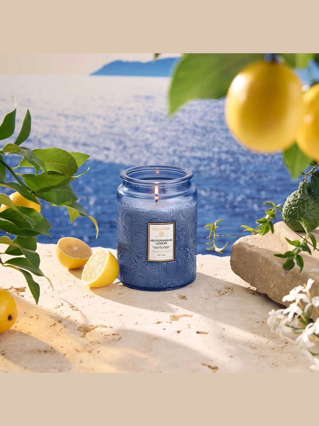 Voluspa Large Jar Candle - Mediterranean Lemon