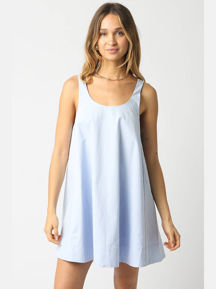 Ariel Sleeveless Swing Mini Dress